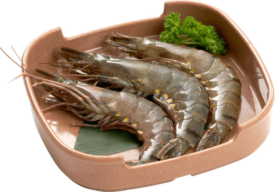 TÔM SÚ / Tiger Shrimp
