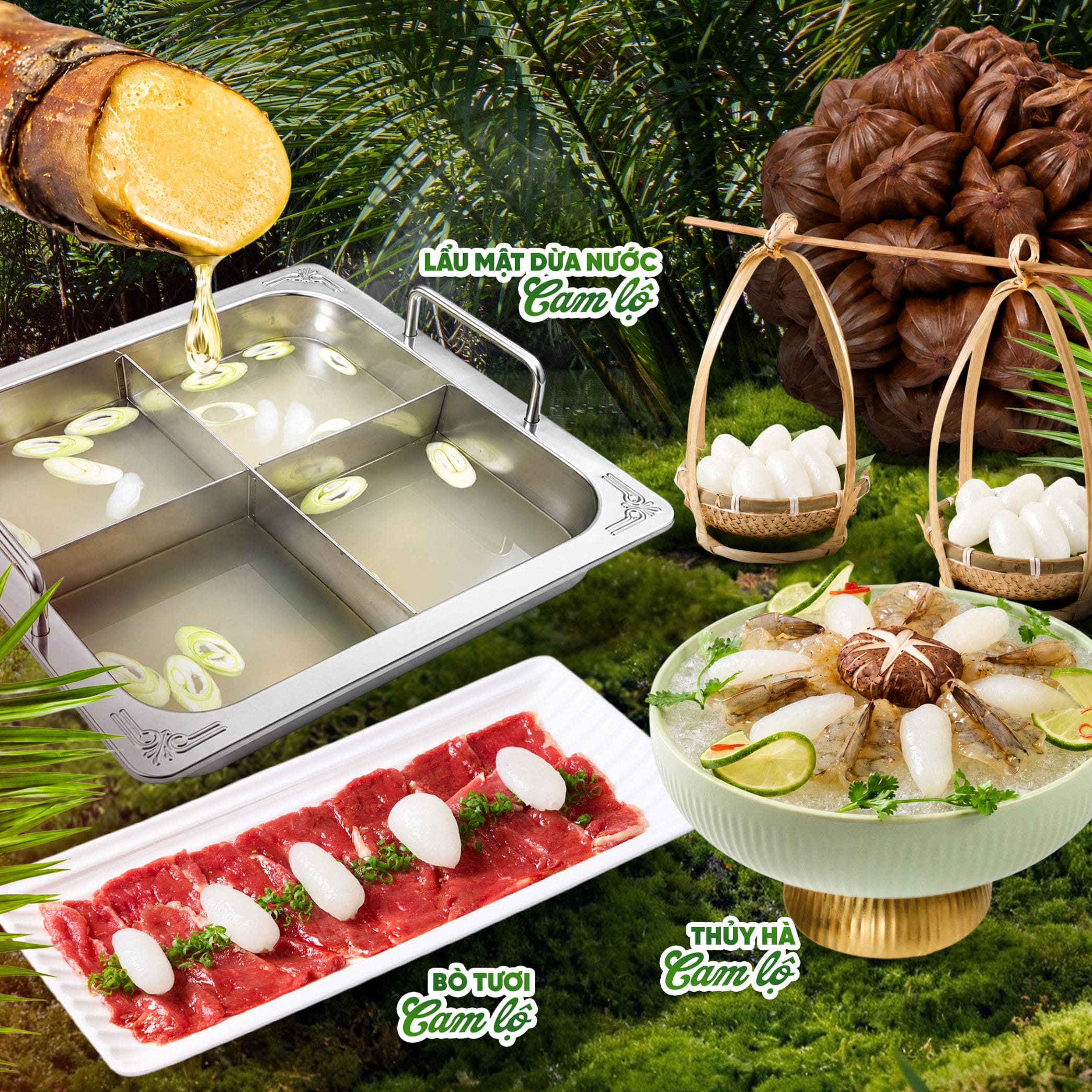 COMBO LẨU MẬT DỪA CAM LỘ