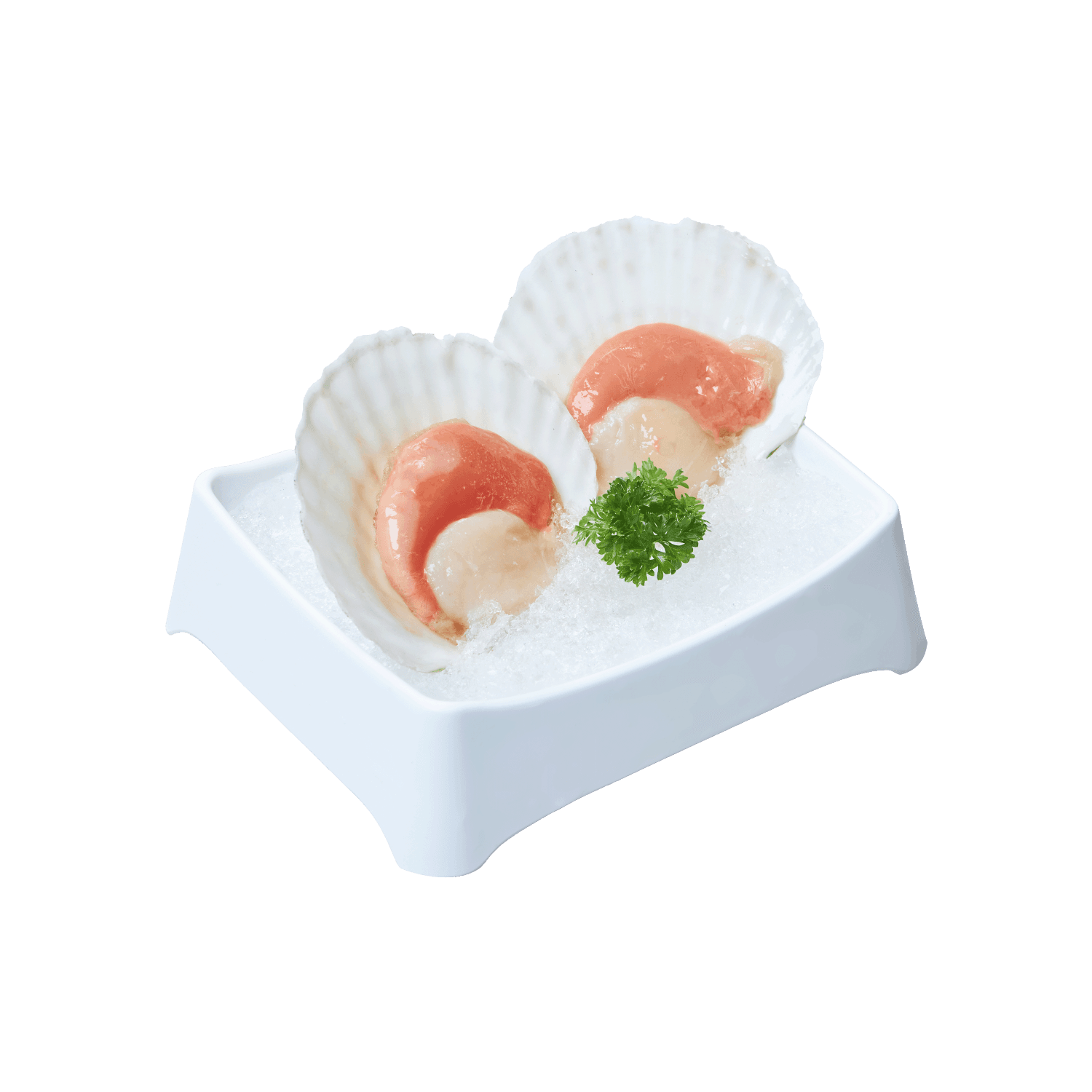 SÒ ĐIỆP NỮA MẢNH